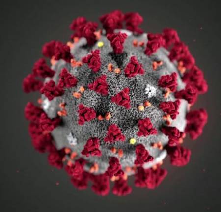 Coronavirus, update 24 maart 2022