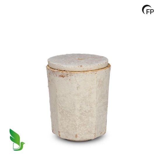 Mycelium klein -