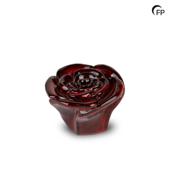 Rosa donkerrood - 