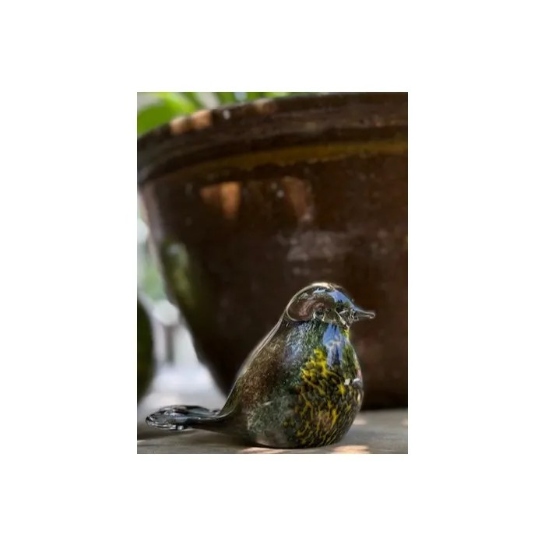 Vogel glas Nature by night