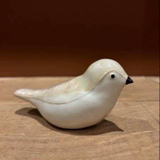 Vogel Annabel