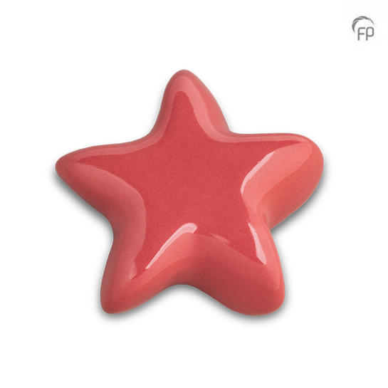 Asteri ster oudroze - glans