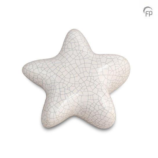 Asteri ster wit craquel� - glans