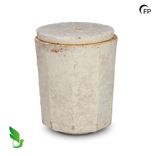Mycelium groot -