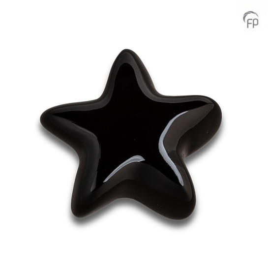 Asteri ster zwart - glans