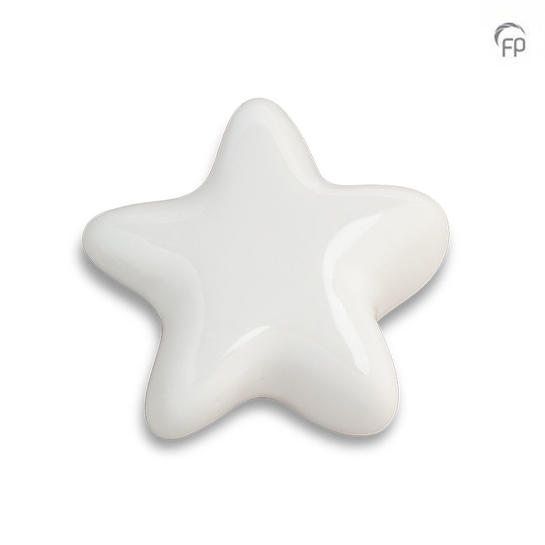 Asteri ster wit - glans