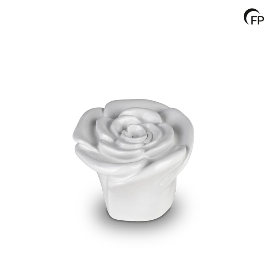 Rosa wit - 