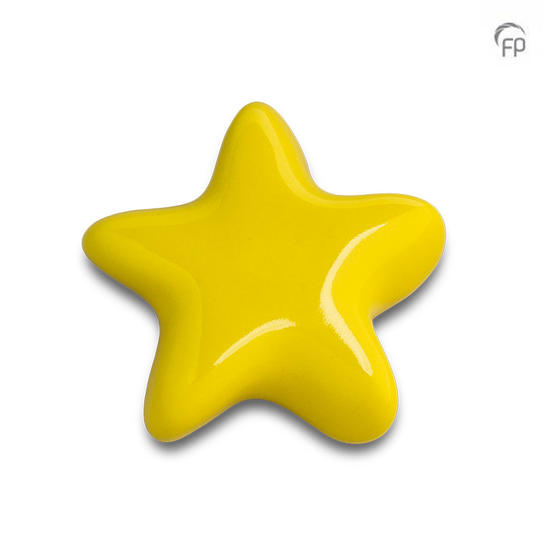 Asteri ster geel - glans