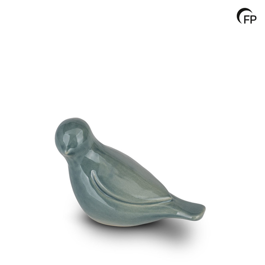 Whistling bird turqoise - 
